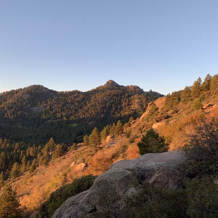 Near Route to Hualapai Peak