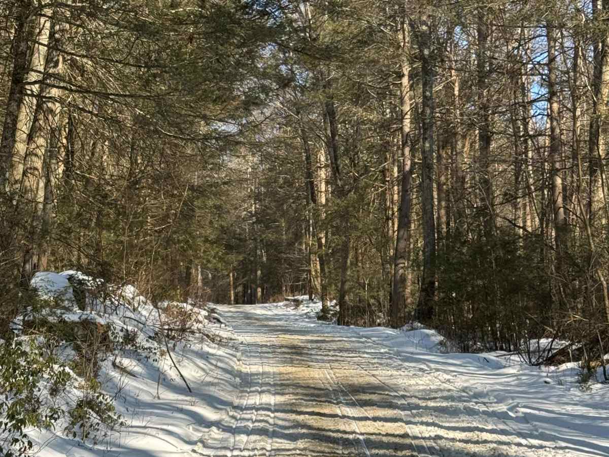 Ohnmeiss Gap Road photo 5