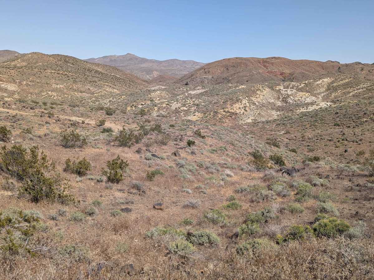 Mesquite Canyon North photo 5