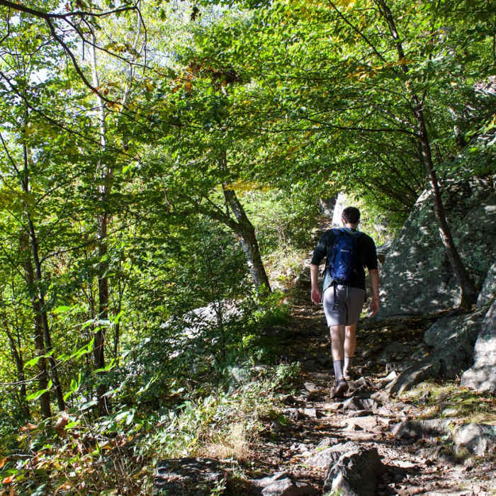 Near Mary's Rock Out-and-Back