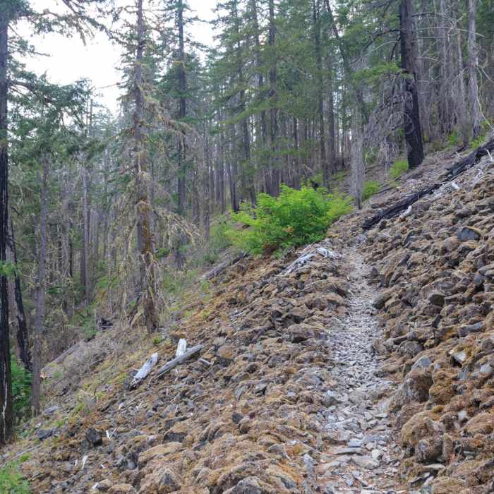 Near Elk Lake Creek: North Trailhead to Battle Creek