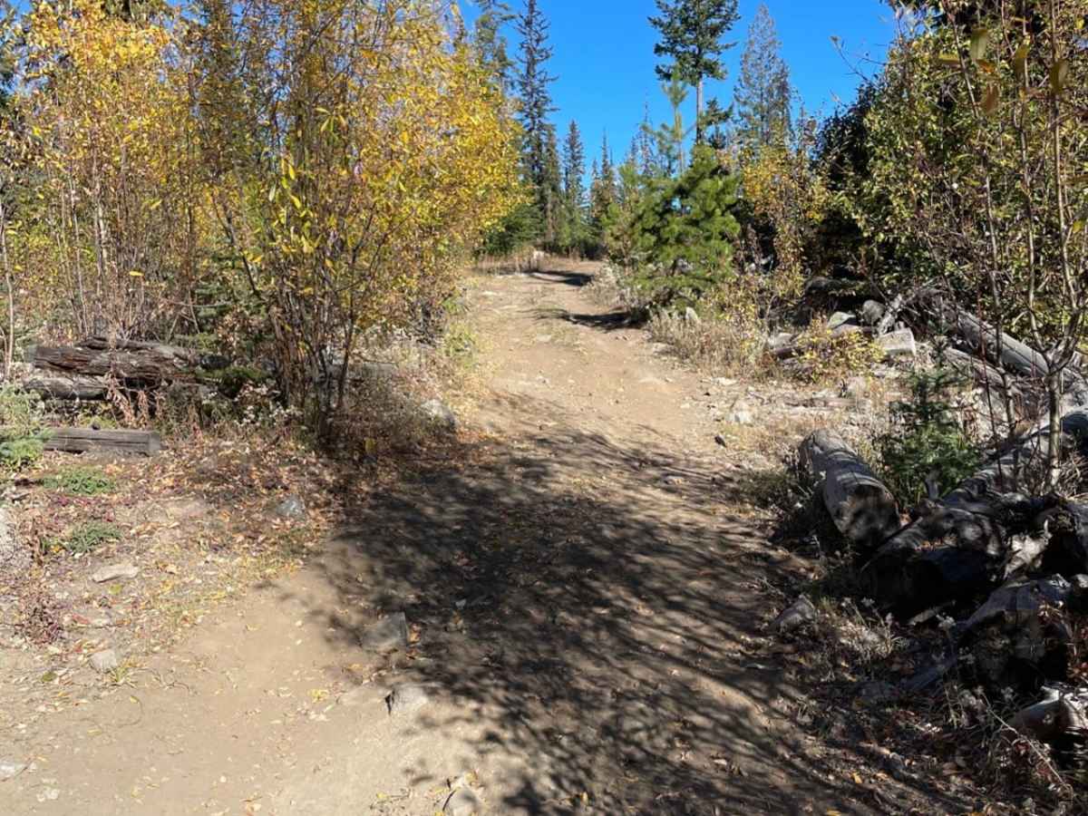 Damer Lake East photo 5