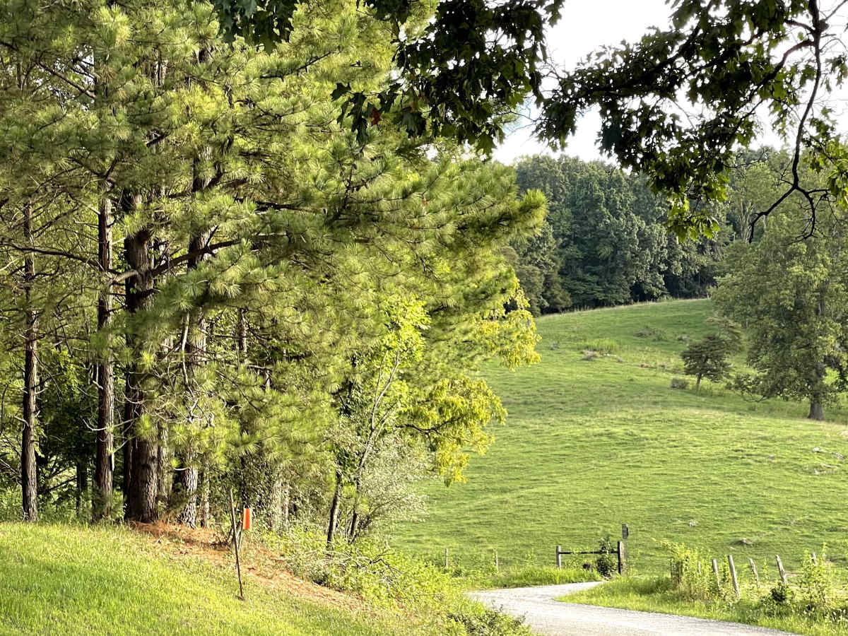 Zion Hill photo 4