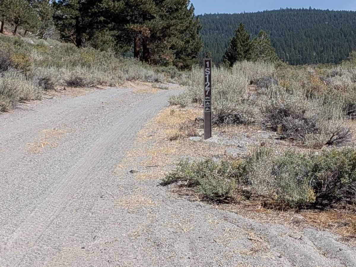 Forest Service Road 1S127 trail photo