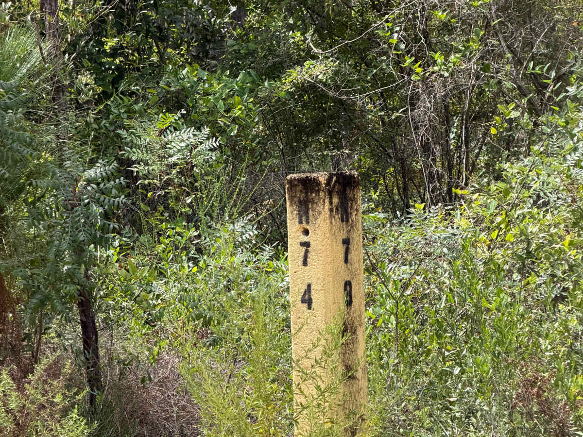 Blackwater River R74 photo 2