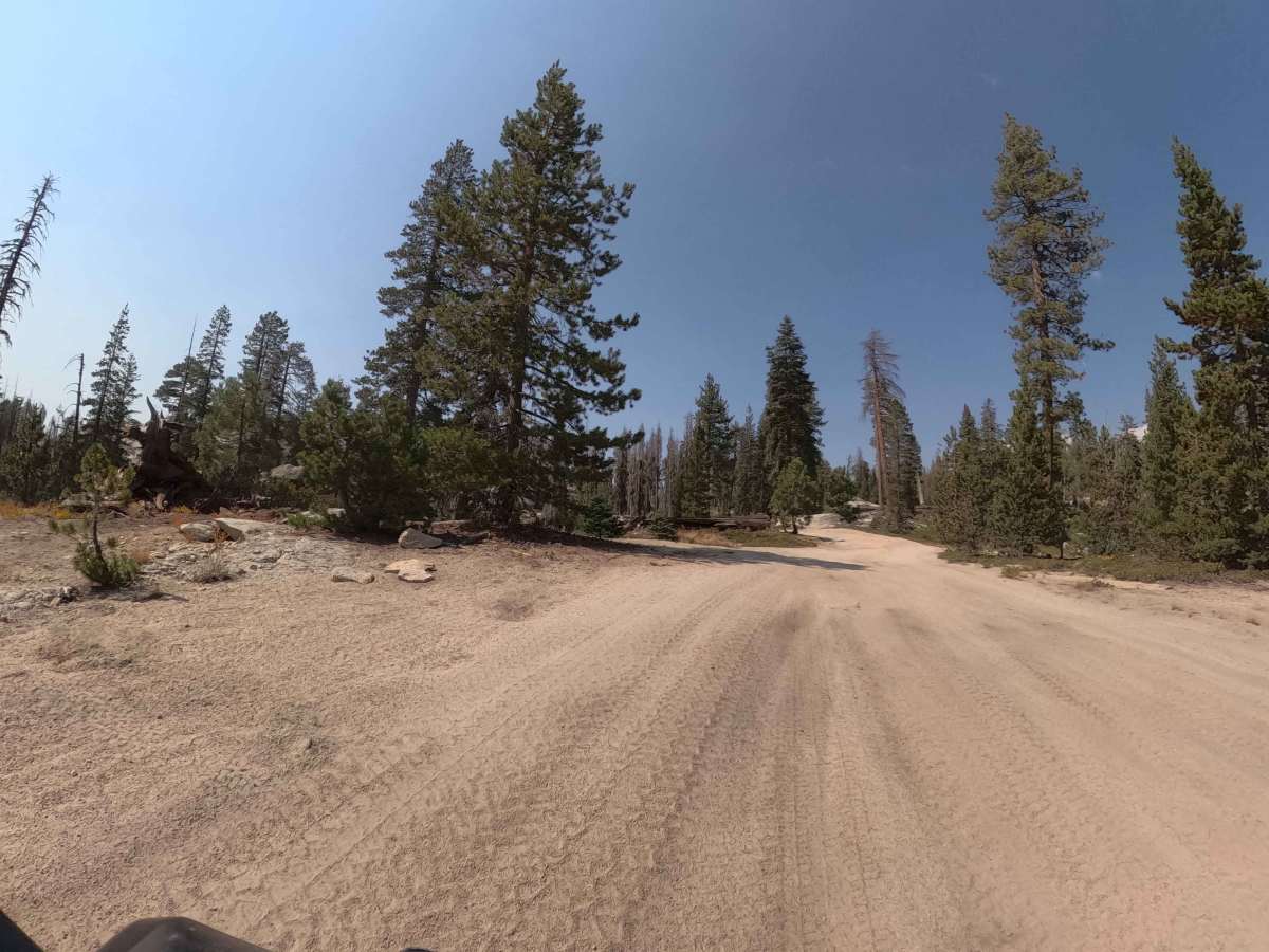45 Cutoff - FS 25E309 photo 2