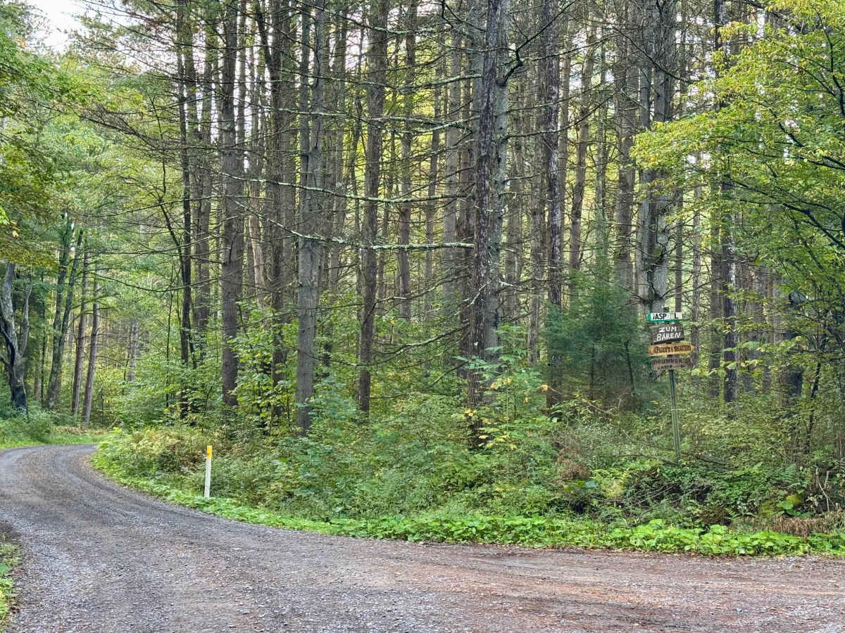 Sandy Run Road photo 3