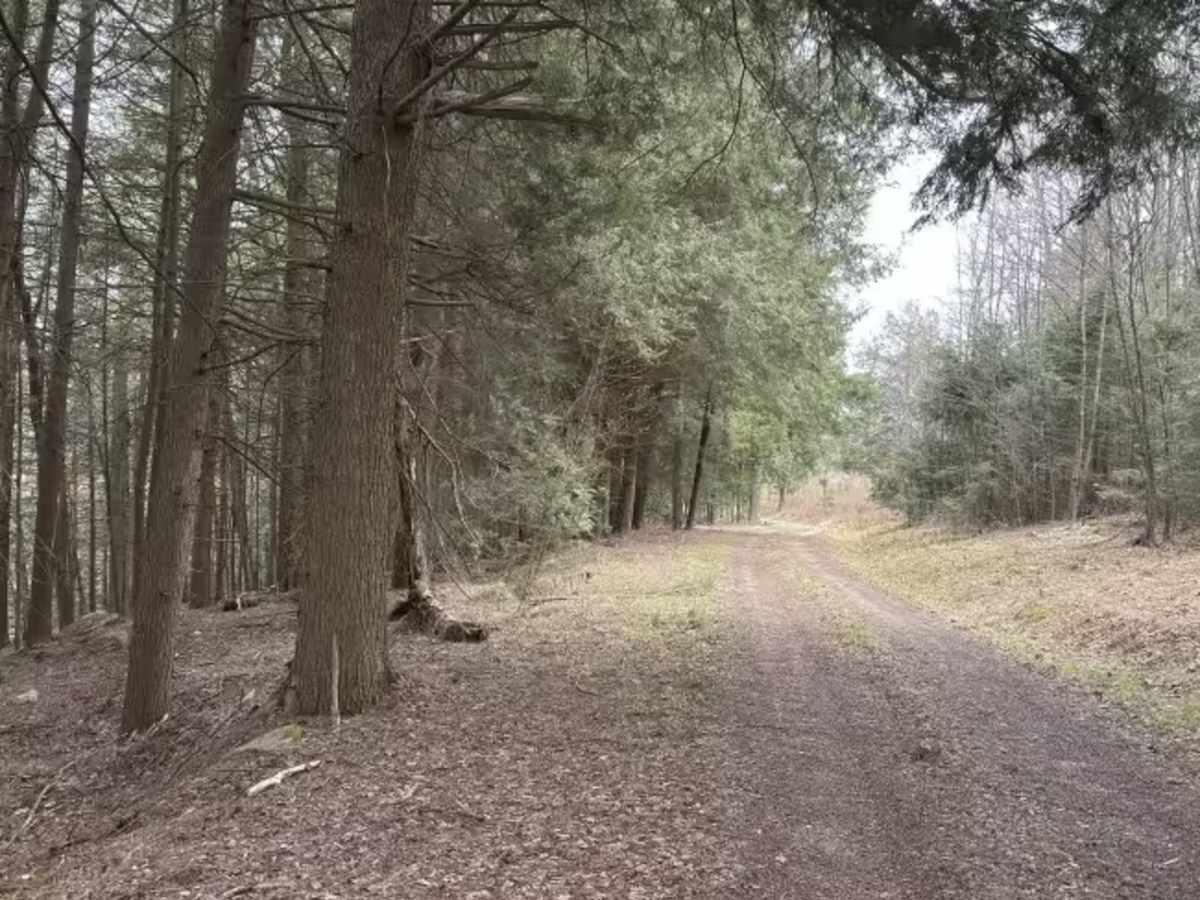 Morrison Run - FS 266 photo 2