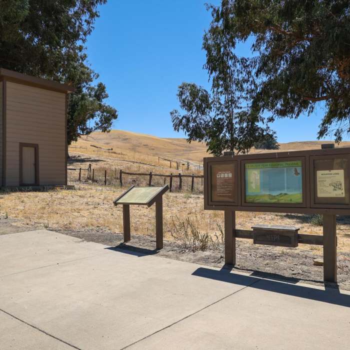 Near Laughlin Ranch Loop