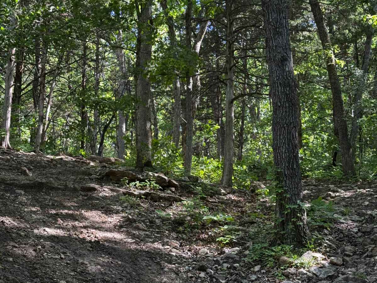 Inner Track 21 photo 2