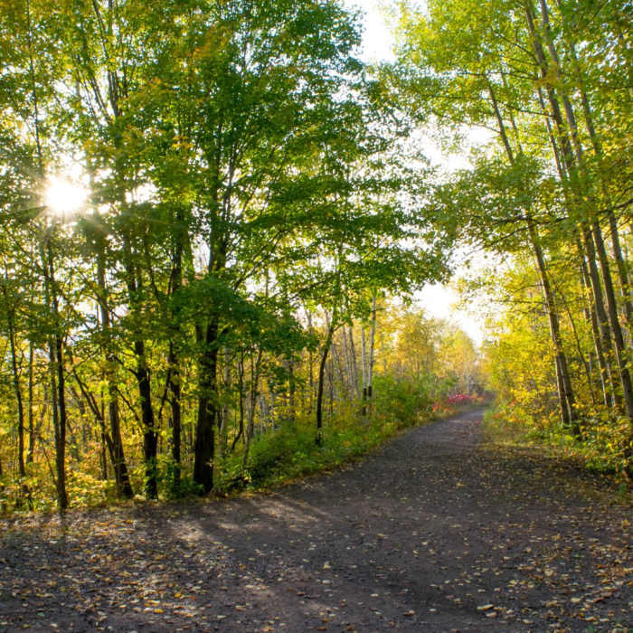 Near Ely's Peak Hike Near Ely's Peak Hike