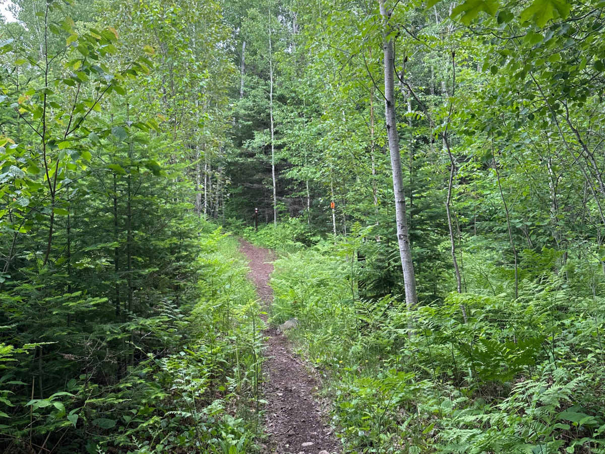 Alger Grade - Trail 4 photo 6