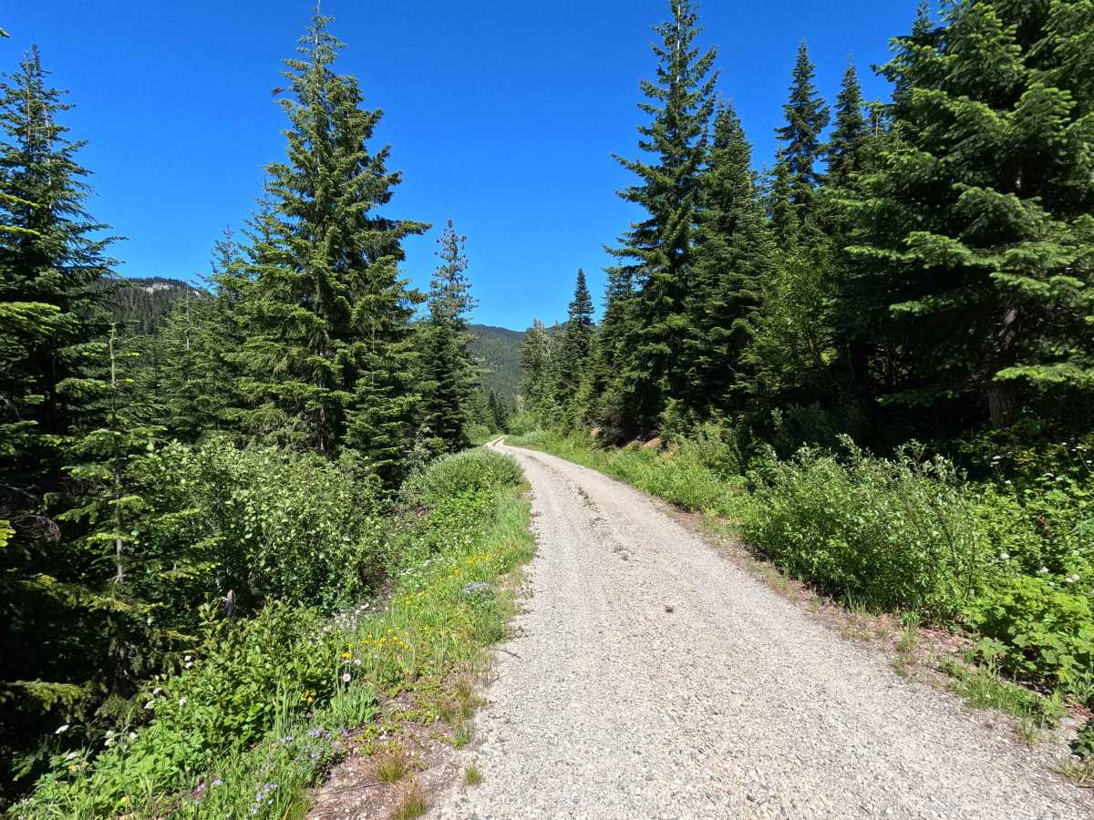 Thorp Creek - FS 4312 photo 2