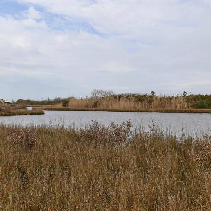 Near Fiddlers Loop Nature Trail Near Fiddlers Loop Nature Trail