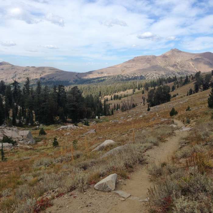 On the trail near Winnemucca Lake. Near Winnemucca Lake and Elephant's Back