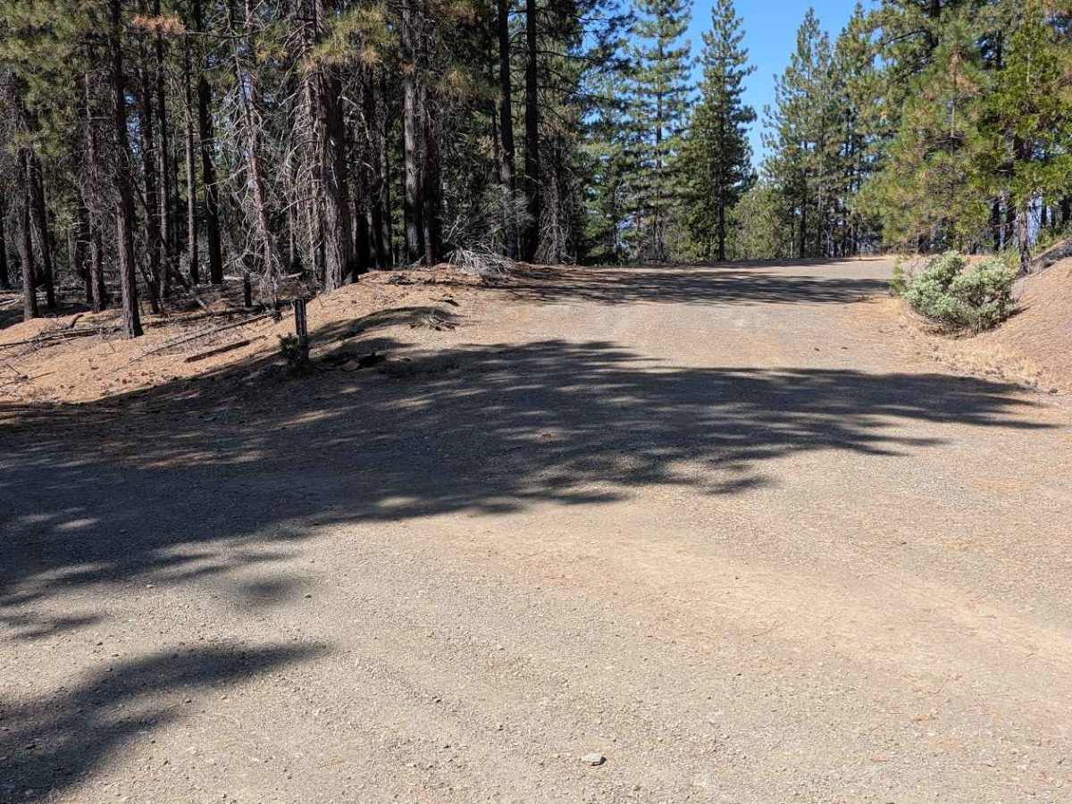  Smokey Creek Road - FS 29N49 photo 2