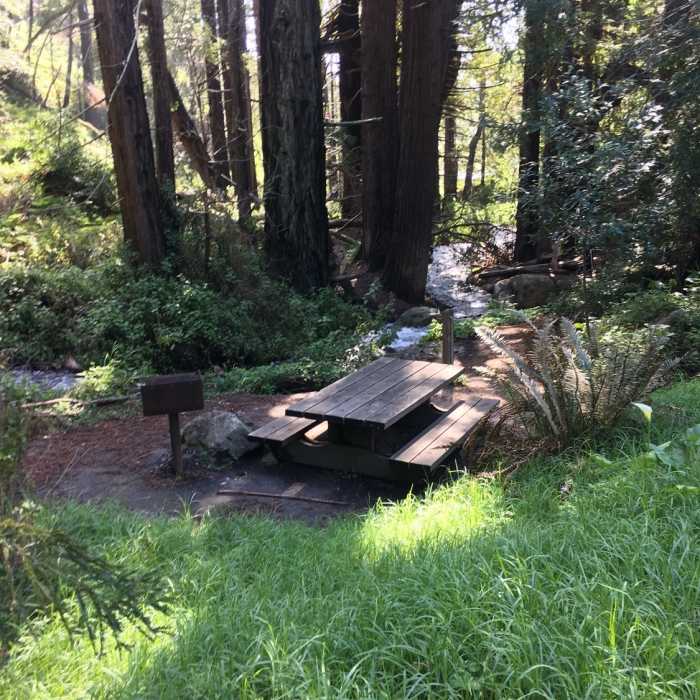 Great picnic spot by the creek Near Waterfall Overlook Trail