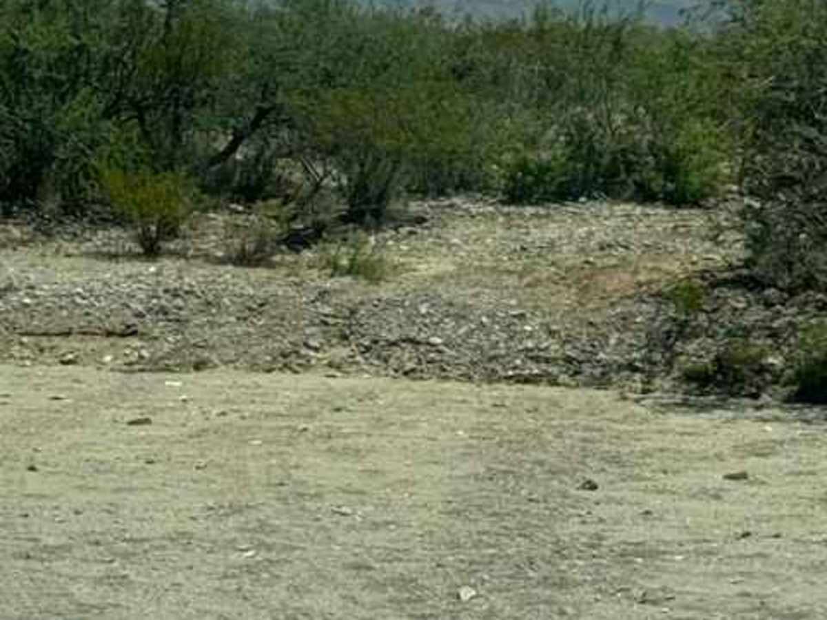 SS1170 - Part B photo 3