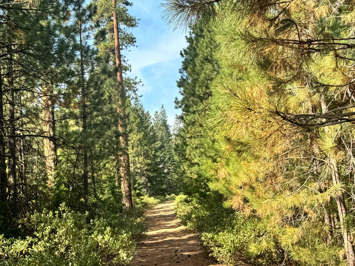 FS 1130-900 trail photo