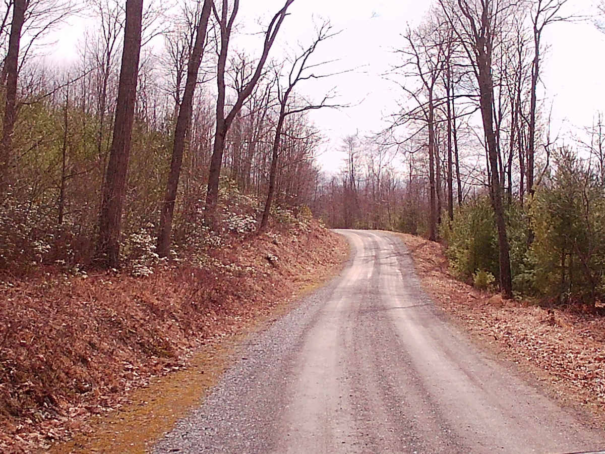 North Run Road photo 4