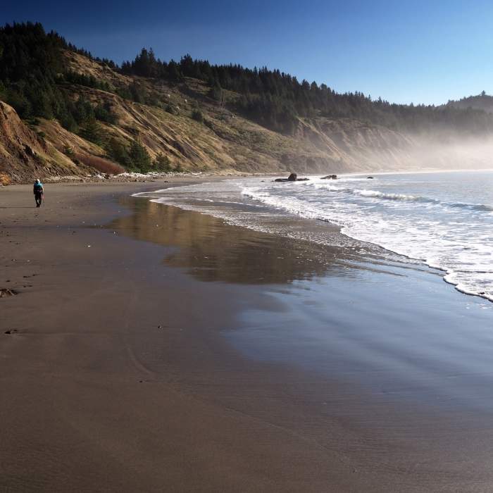 On the beach at Hunters Cove (low tide) Near Cape Sebastian