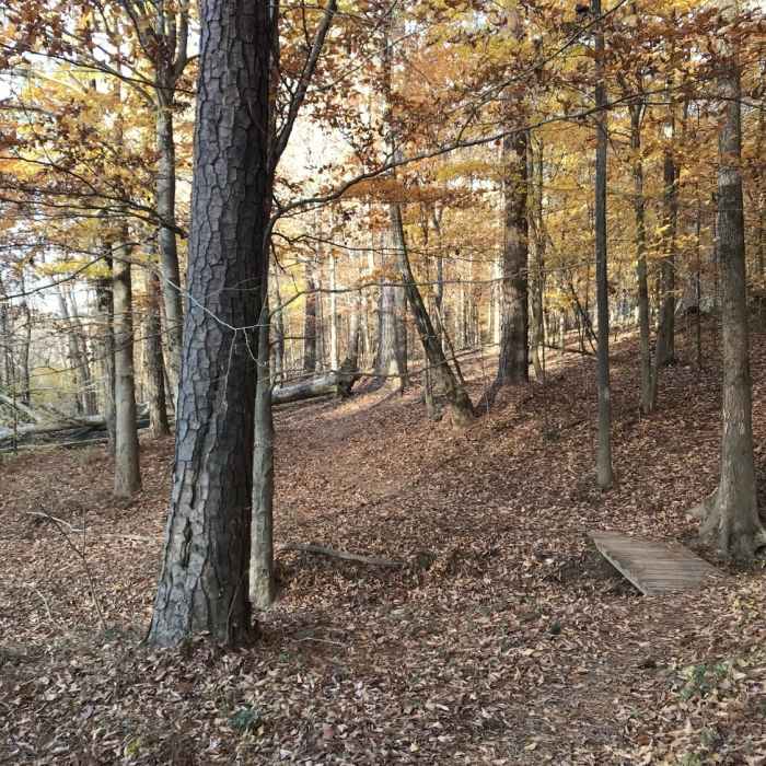 Near Francis L. Liles Trail