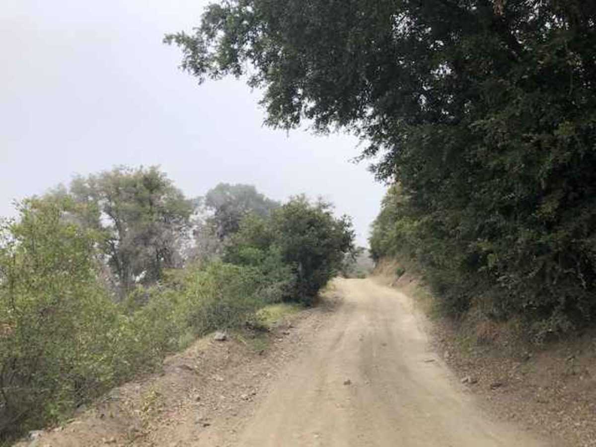 Maple Spring Road photo 3
