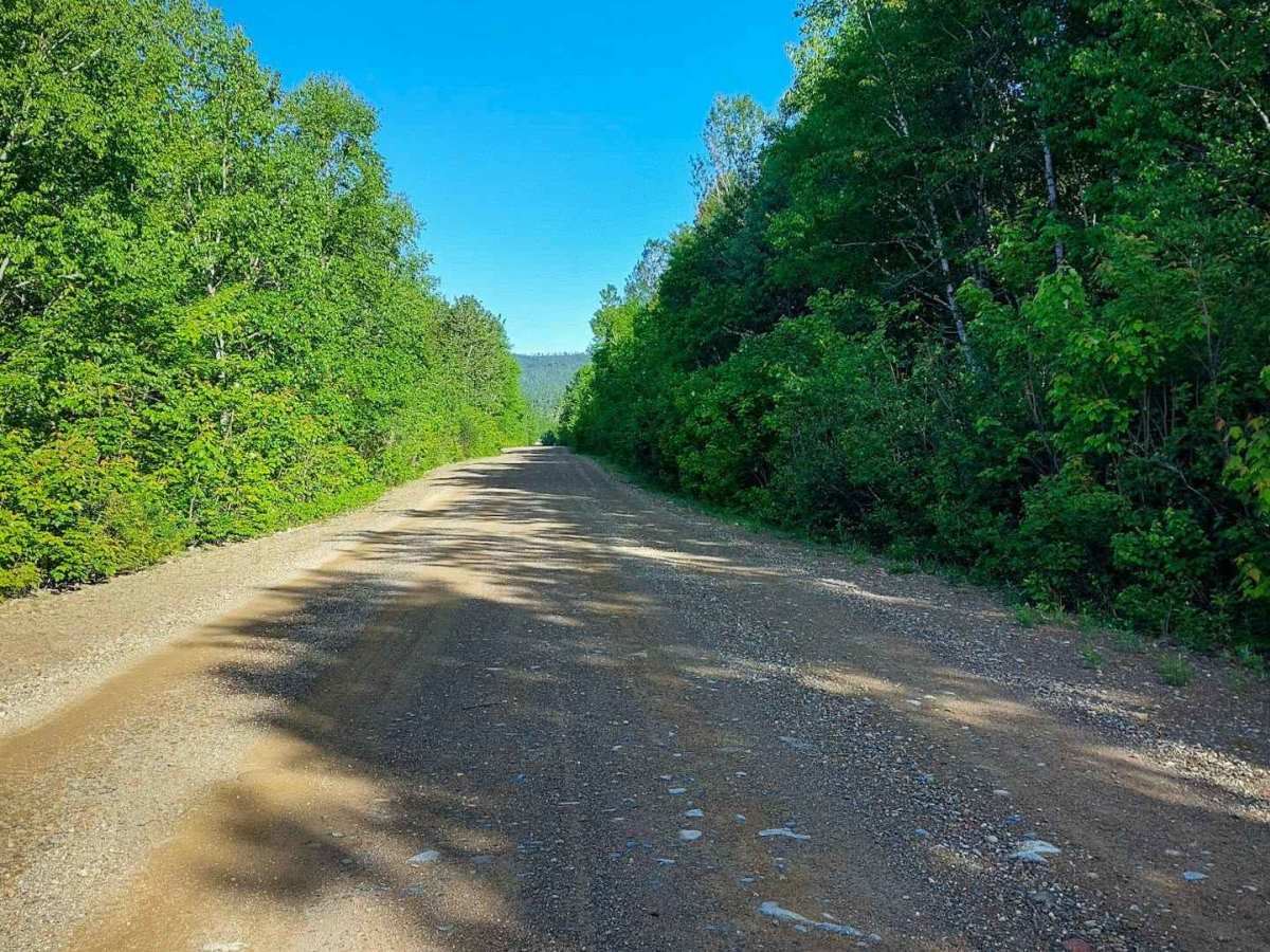 Knoll Spruce River Road photo 6