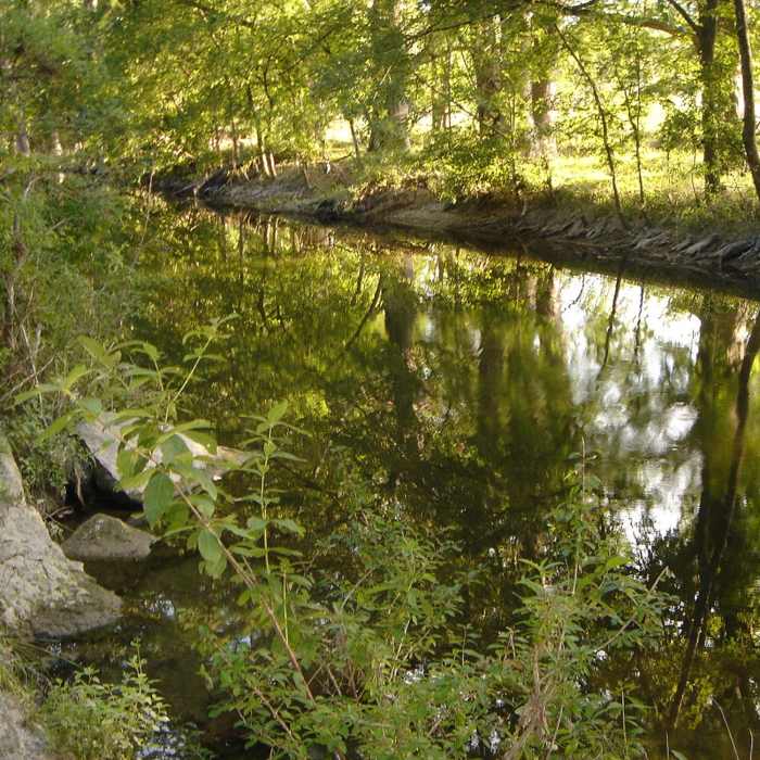 Near Woodland Loop Trail