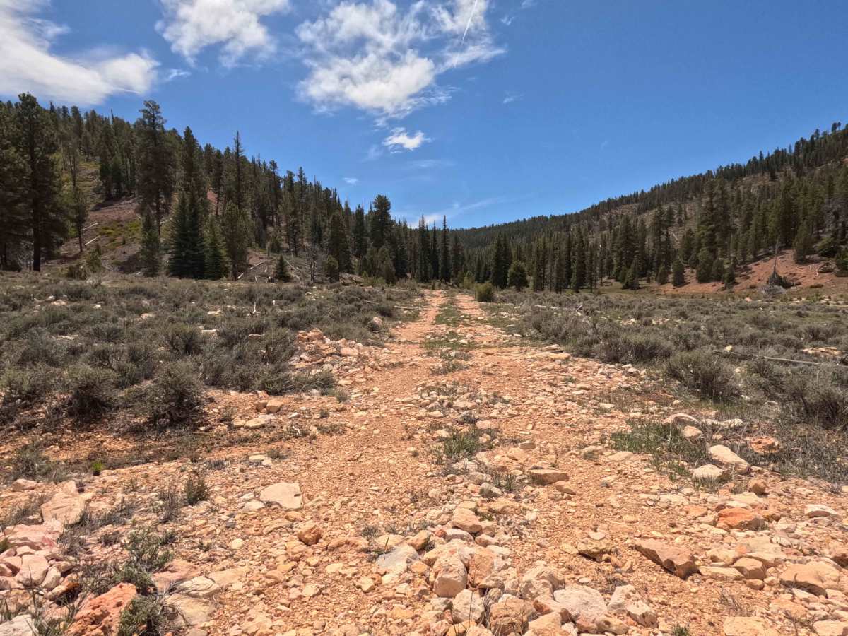 Long Hollow South - FS 31131 trail photo