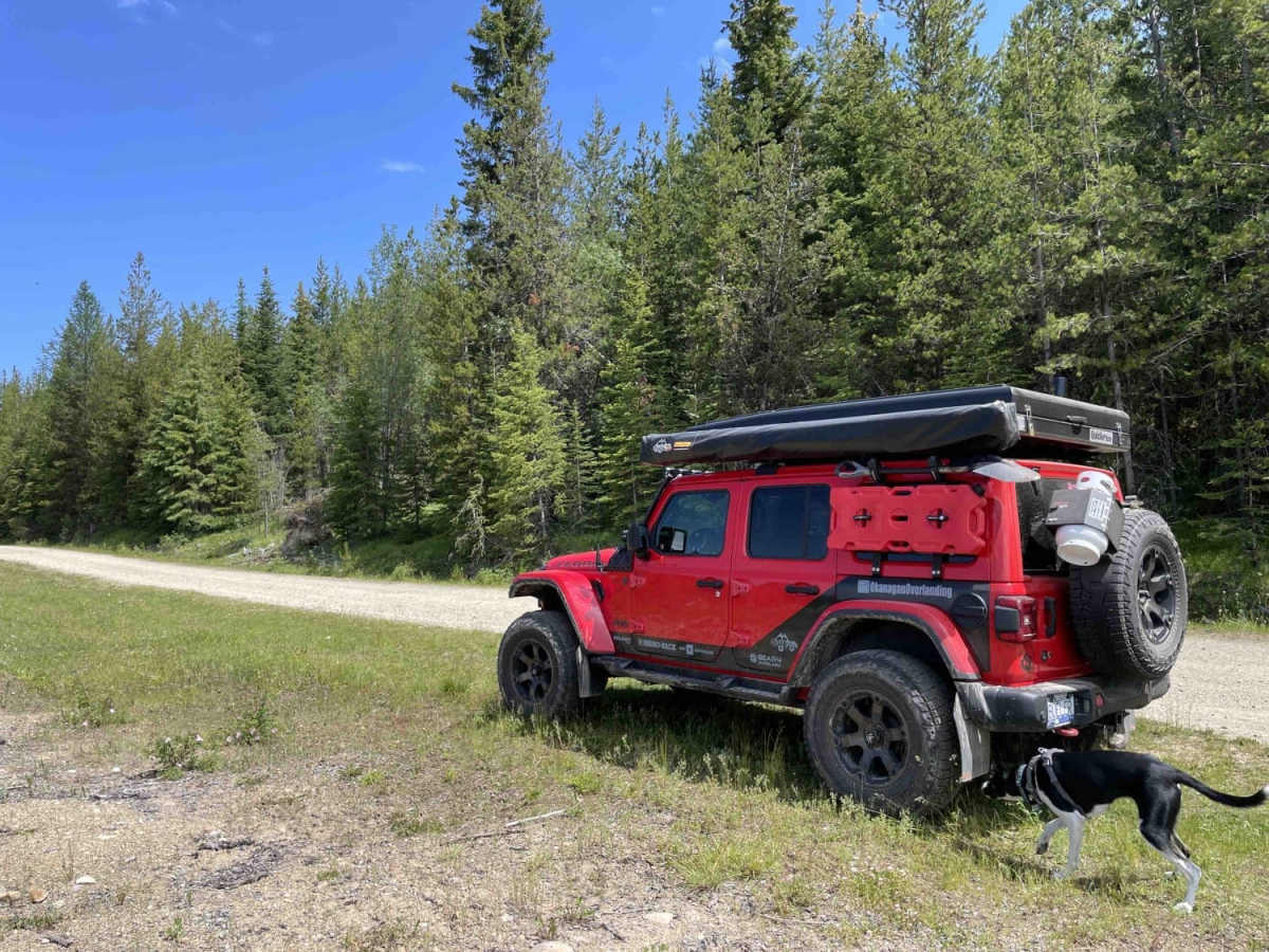 Around Aberdeen on Curtis Lake FSR photo 5