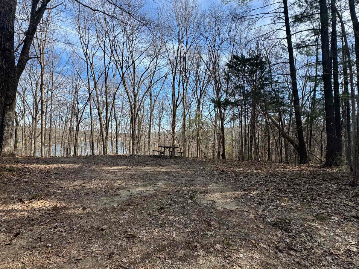 Lake Of Egypt Campground Drive - FS 871A photo 2