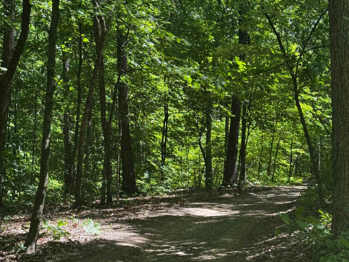 Jason's Crossing photo 3
