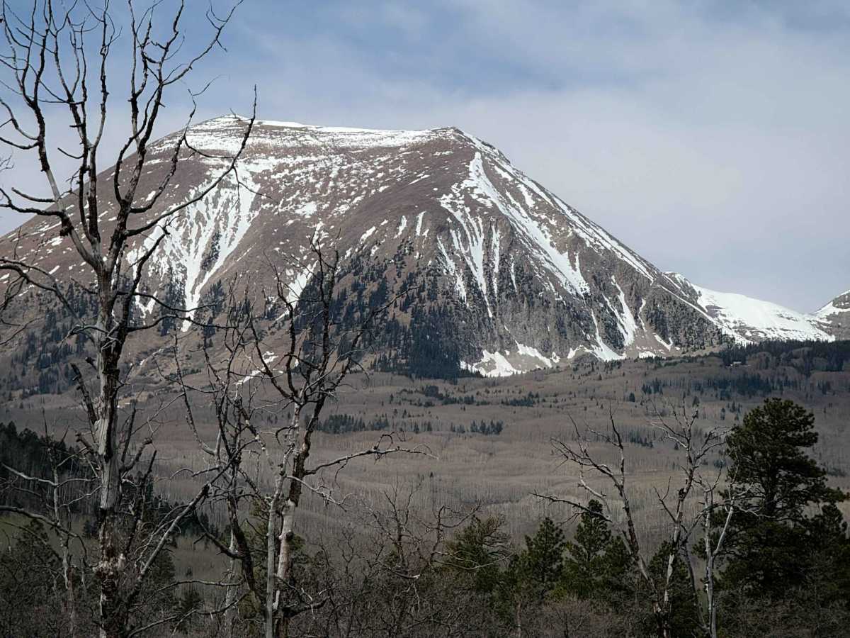 Lower 2 Mile Loop  photo 6