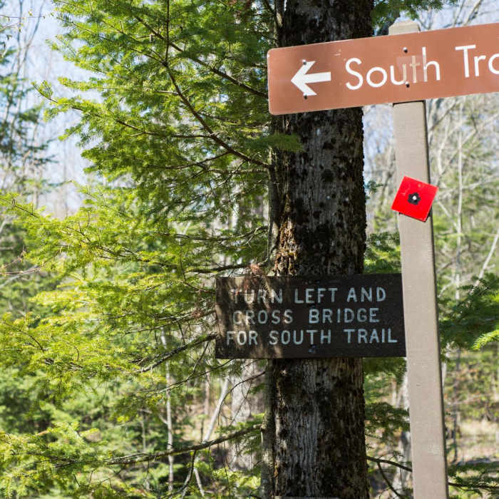 Near Whetstone Gulf Rim Trail Near Whetstone Gulf Rim Trail
