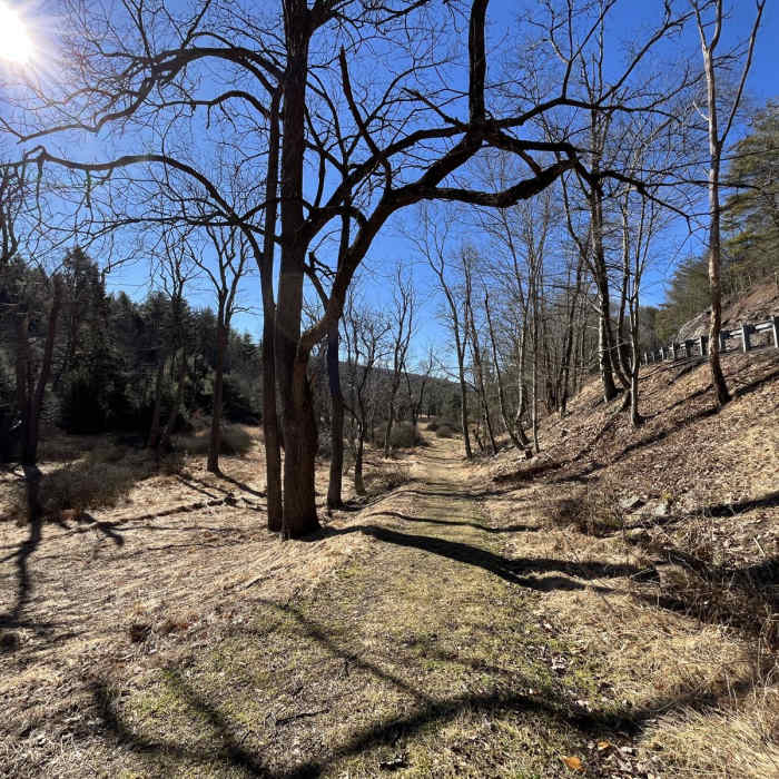 Near Hickory Run - Fireline - Skyline Loop