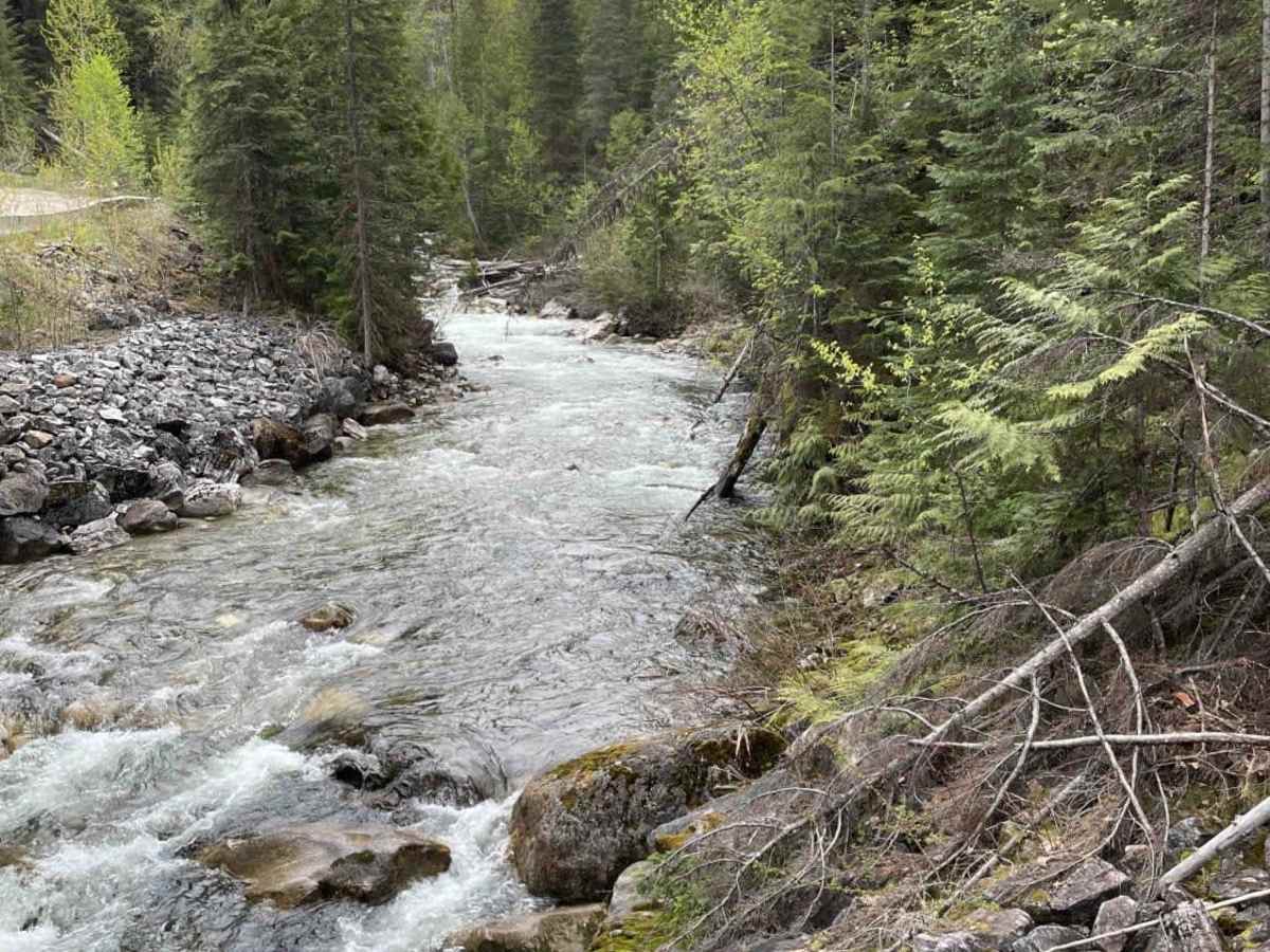 Cottonwood Rec to Kingfisher FSR photo 3