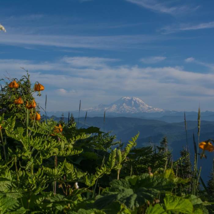 Near Mount Washington