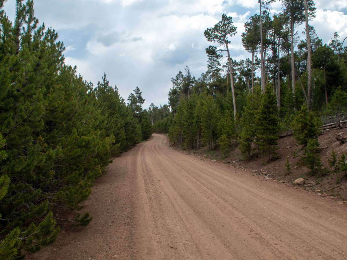 North Slope Thornburg - FS 10058 photo 4