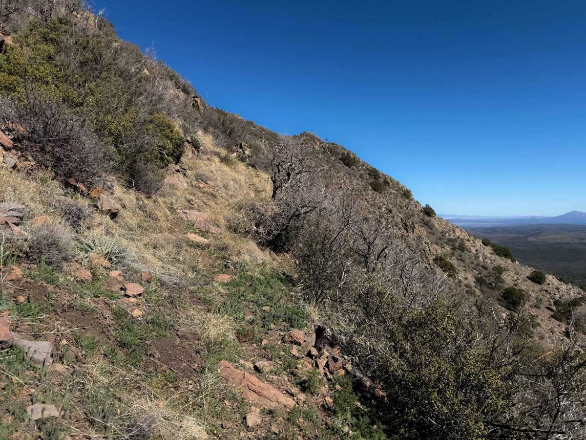 Hyde Mountain Trail #6  trail photo