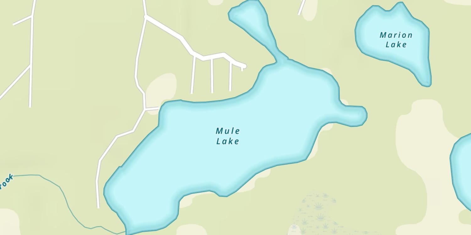 Mule Lake