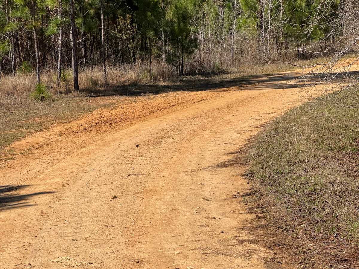 Rock Pond Road photo 3