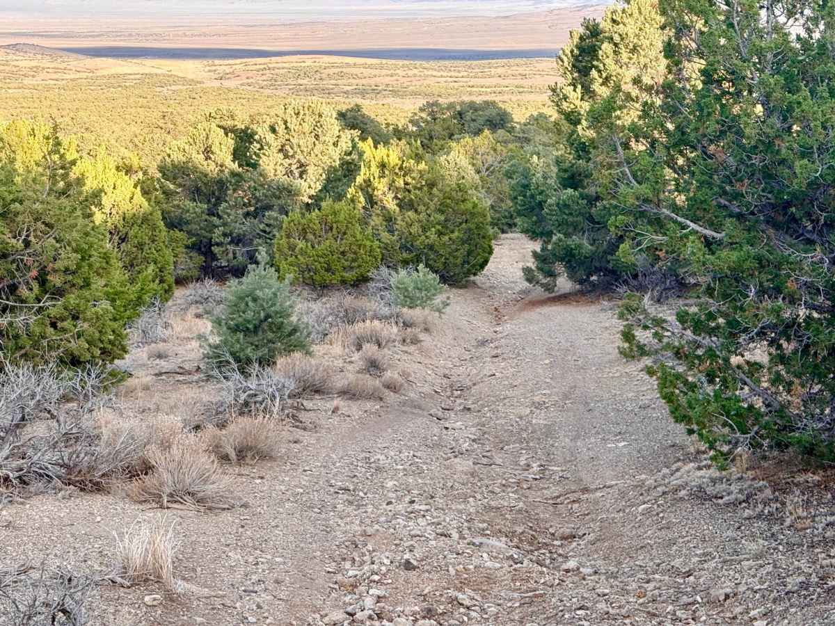 Warm Springs Southwest Loop - FS 17546 photo 3