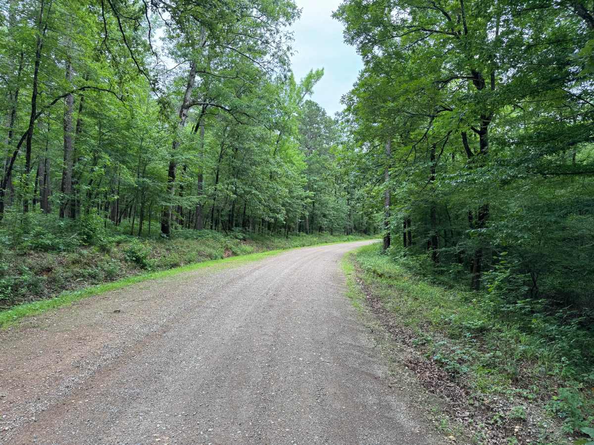 High Shoals Road photo 3