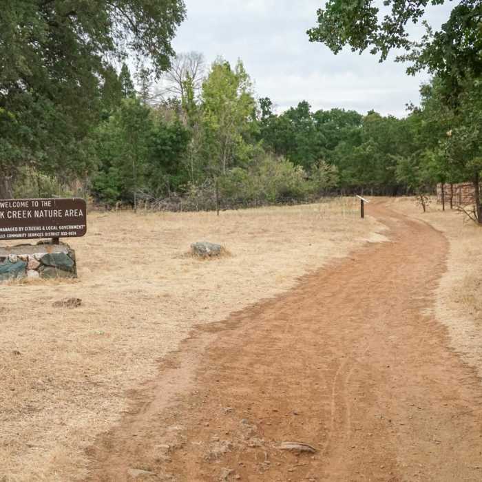 Near New York Creek Nature Trail
