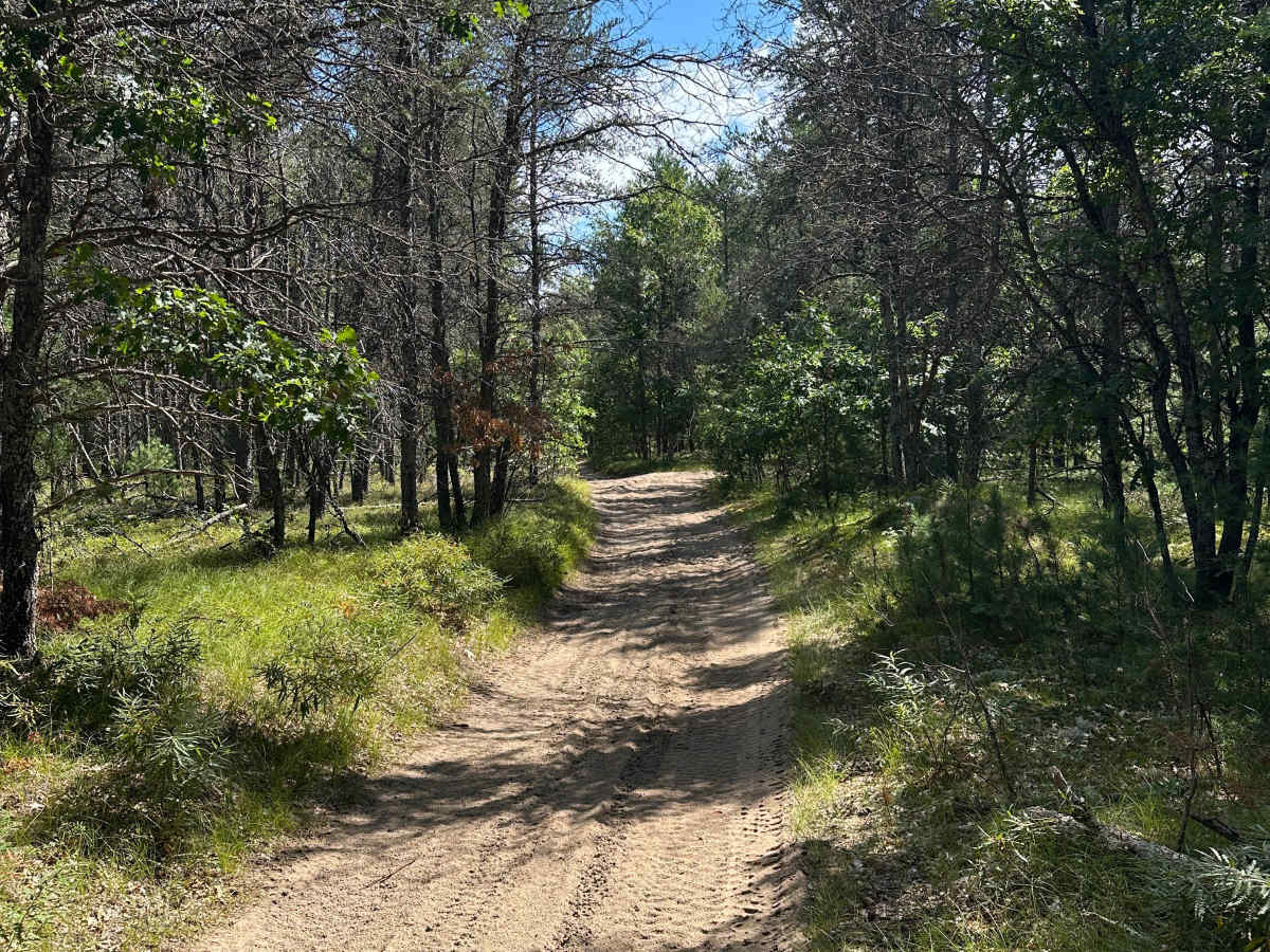 Pierce Road photo 4