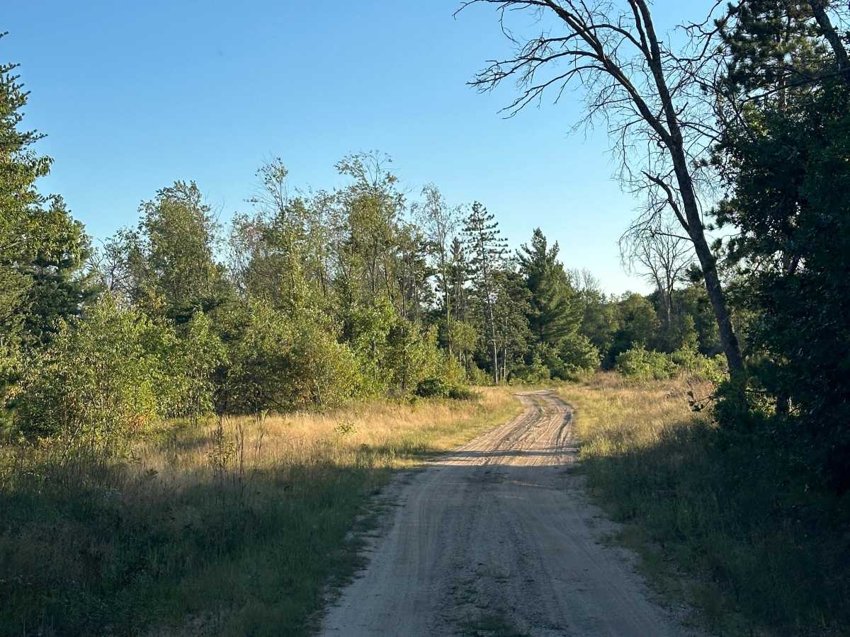 Dorr Road photo 3