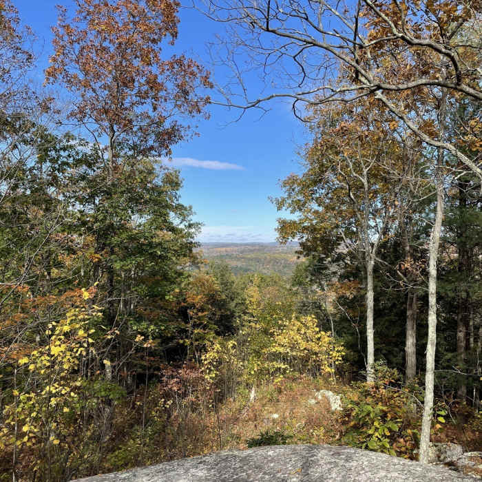 Near Yellow Trail
