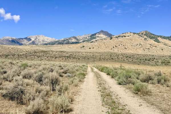 Lutts Creek - FS 57149