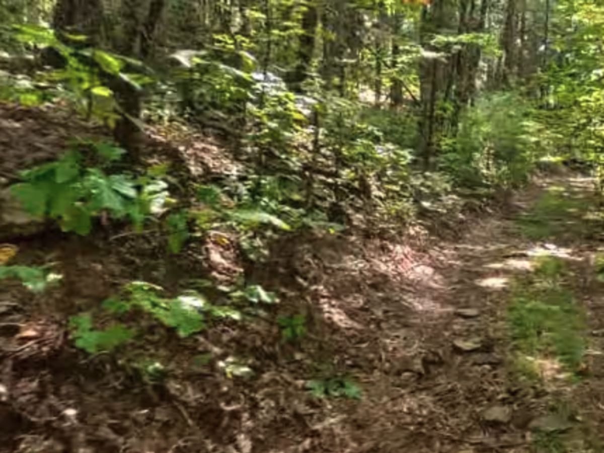 Chester Knob Upper Trail photo 4